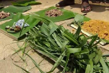 எதிர்காலத்தில் மக்களின் உணவு புல் மற்றும் புண்ணாக்கு தான்: கொட்டகலை போராட்டடத்தில் இடம்பெற்ற நிகழ்வு