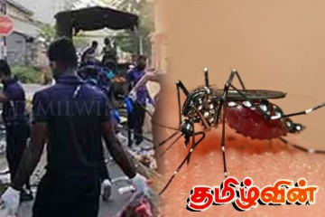 நுளம்பு கட்டுப்பாட்டு தேசிய வாரம்: 143 பேர் மீது வழக்கு தாக்கல்