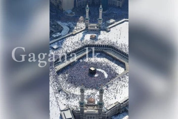 උණුසුම සහ තෙරපීම් හේතුවෙන් වන්දනාකරුවන් 550ක් මියගිහින්..