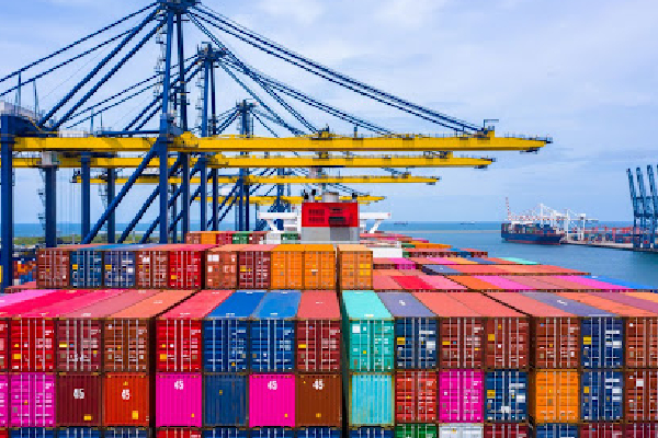 323 கொள்கலன் விவகாரம் : சபாநாயகரின் அதிரடி அறிவிப்பு | Investigate 323 Containers Issue