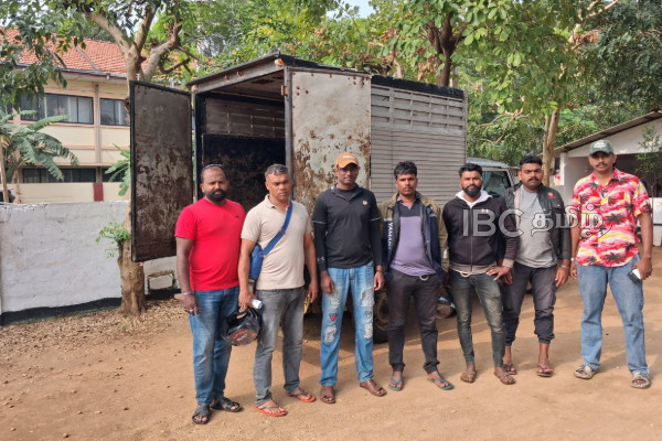 யாழில் மாடுகளை கடத்திய நபர் அதிரடி கைது | Police Arrested One For Smuggling Cows In Jaffna யாழில் மாடுகளை கடத்திய நபர் அதிரடி கைது | Police Arrested One For Smuggling Cows In Jaffna