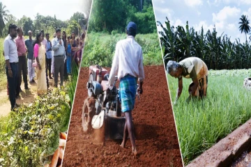 முல்லைத்தீவில் விவசாய திணைக்களத்தில் ஆளணி பற்றாக்குறை