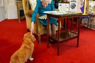 மகாராணி எலிசபெத்தின் செல்ல நாய்களை பராமரிக்கும் இளவரசர் ஆண்டரூ