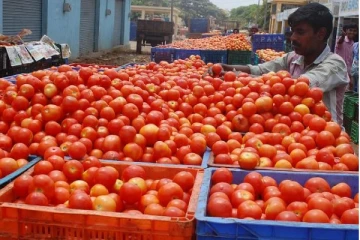 அரசாங்கம் இதை செஞ்சா நாங்க 40 ரூபாய்க்கு தக்காளியை விற்க தயார்- வியாபாரிகள் சங்கம்