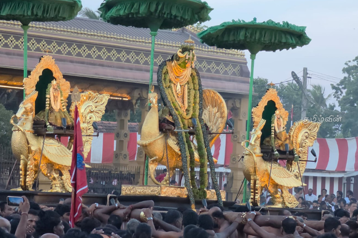 அரோகரா கோஷம் முழங்க தங்கமயில் வாகனத்தில் அருள்பாலித்த நல்லூர் கந்தன் | Nalloor Kovil Fesrtival 2026 அரோகரா கோஷம் முழங்க தங்கமயில் வாகனத்தில் அருள்பாலித்த நல்லூர் கந்தன் | Nalloor Kovil Fesrtival 2026