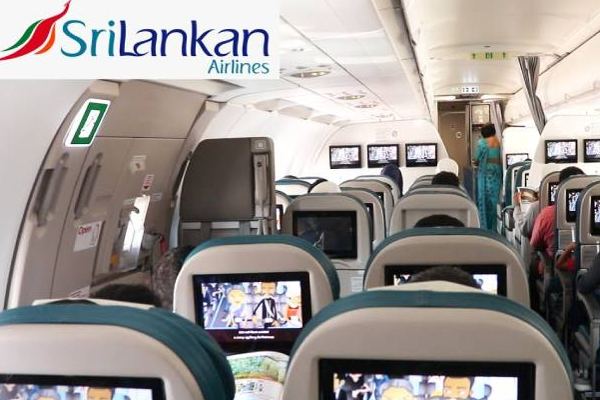 ஓமானில் இருந்து இலங்கைக்கு தப்பியோடி வந்த 2 பெண்கள்! | 2 Women Escaped From Oman To Sri Lanka For Work