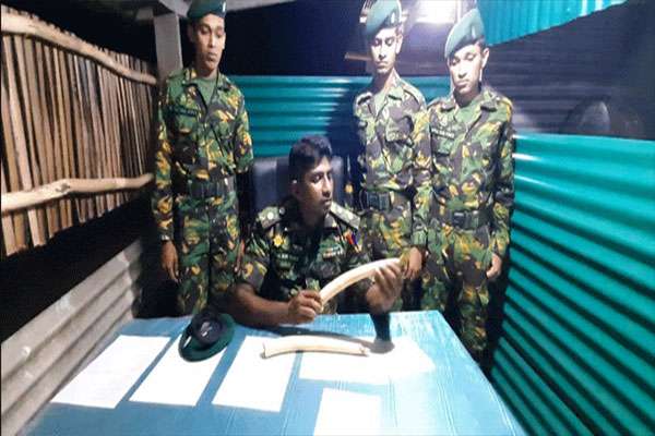 யானைத் தந்தங்களுடன் நபரொருவர் அதிரடி கைது! | 42 Year Old Man Arrested With Ivory