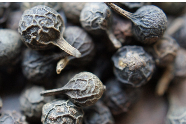 கருப்பு வாால் மிளகினை ஆண்கள் தினமும் சாப்பிட்டால் என்ன நடக்கும்... முழுசா தெரிஞ்சிக்கோங்க! | Amazing Medicinal Benefits Of Tail Pepper