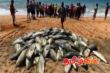 புத்தள கடற்றொழிலாளர்களுக்கு கிடைத்த மிகப்பெரிய அதிஸ்டம்...