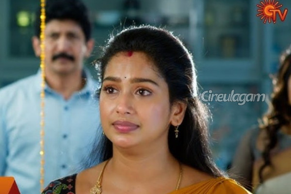 இந்த வார டிஆர்பி ரேட்டிங்கில் ஏற்பட்ட மாற்றம், முன்னேறிய சீரியல்... முழு விவரம் | Tamil Serials Trp Ratings Details