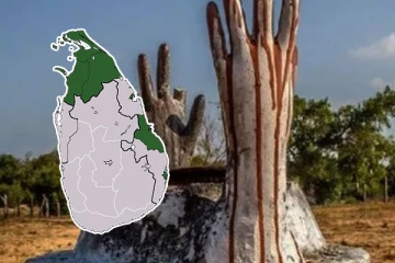 தமிழினப்படுகொலைக்கு தென்னிலங்கை சமூகம் மன்னிப்பு கோரியிருக்க வேண்டும் : நாடு கடந்த தமிழீழ அரசாங்கம்