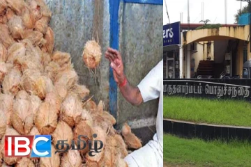 யாழ்ப்பாணத்தில் தேங்காய் விலை அதிகரிக்க காரணம் தெரியுமா...! உண்மையை உடைத்த வியாபாரி