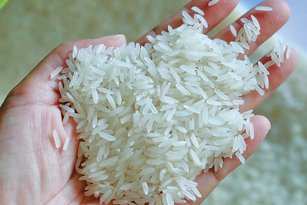இலங்கை மக்களுக்கு அமைச்சர் வெளியிட்ட மகிழ்ச்சி தகவல்! | Happy News The Minister The People Of Sri Lanka