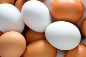 முட்டைக்கு அதிகபட்ச சில்லறை விலை நிர்ணயம்