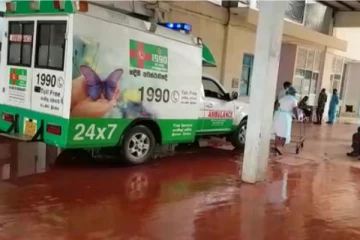 குளவிக் கொட்டுக்கு இலக்காகி 5 பேர் வைத்தியசாலையில் அனுமதி