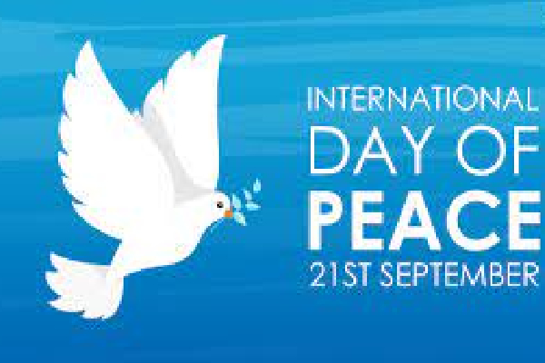 சரணடைந்தவர்களை படுமோசமாக கொலை செய்துவிட்டு கொக்குத்தொடுவாயில் குழி தோண்டிப் புதைத்திருக்கிறார்கள் : வினோ எம்பி | Who Surrendered Were Brutally Murdered And Buried