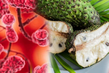 புற்றுநோயை விரட்டி அடிக்கும் முள் சீத்தாப் பழம்; இவ்வளவு நன்மைகளா!