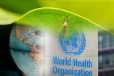 வரலாறு காணாத அளவில் அதிகரிக்கும் டெங்கு நோய் : உலக சுகாதார ஸ்தாபனம் விடுத்துள்ள எச்சரிக்கை