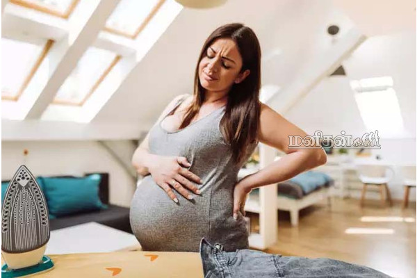 தினமும் ஒரே ஒரு துண்டு இதை சாப்பிடுங்க! வாழ்நாள் முழுவதும் நோயிலிருந்து தப்பிக்கலாம் | Dry Goose Berry Benefits In Tamil