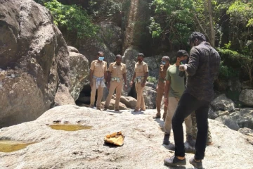 மலைப்பகுதியில் சரிந்து விழுந்து இளம்பெண் யானை பலி! பொதுமக்கள் சோகம்!