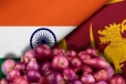 இந்தியாவிலிருந்து இறக்குமதி செய்யப்படும் வெங்காயம் ; ஏற்பட்டுள்ள புதிய சிக்கல்