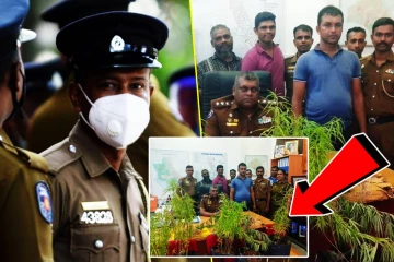 வீட்டின் மொட்டை மாடியில் கஞ்சா தோட்டம்...! முற்றுகையிட்ட காவல்துறையினர்