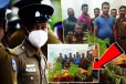 வீட்டின் மொட்டை மாடியில் கஞ்சா தோட்டம்...! முற்றுகையிட்ட காவல்துறையினர்
