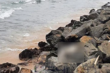 வெள்ளவத்தை மற்றும் பம்பலப்பிட்டியில் சடலங்கள் மீட்பு! பொலிஸார் தீவிர விசாரணை