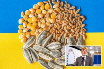 தரைவழியாக உக்ரைன் தானியங்கள் ஏற்றுமதி செய்யப்படும்: பணிகளை தொடங்கியது பிரான்ஸ்