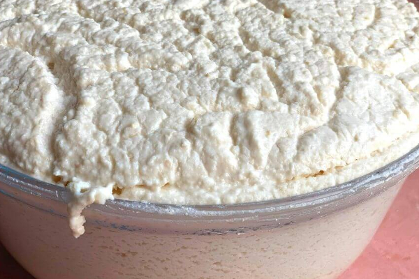 நீரிழிவு நோயாளிகள் புளித்த உணவுகளை சாப்பிட்டால் என்ன நடக்கும் தெரியுமா? | Can Diabetics Eat Fermented Foods