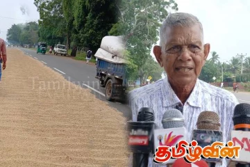 அரசாங்கத்தினால் நிர்ணயிக்கப்பட்ட நெல்லுக்கான விலை: விவசாயிகள் விடுத்துள்ள கோரிக்கை