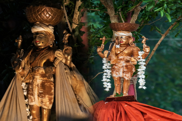 நல்லூர் சிவன் கோவிலில் திருவெம்பாவை புட்டு திருவிழா; பக்தியுடன் கலந்துகொண்ட பக்தர்கள்! | Thiruvempavai Puttu Thiruvizha Nallur Sivan Kovil