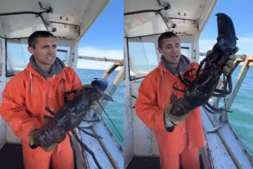 அம்மாடியோவ் எவ்வளவு பெருசு... மீனவர் வலையில் சிக்கிய ராட்சத உயிரினம்! வைரல் வீடியோ