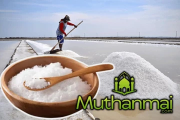 உப்பு இறக்குமதி தொடர்பில் வெளியான தகவல்