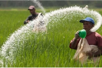 චීන පොහොර මෙරටට ගෙන්වයි...