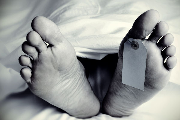 முச்சக்கரவண்டி மரத்துடன் மோதியதில் சாரதிக்கு நேர்ந்த சோகம் | Tragedy Befell Man His Tricycle With A Tree