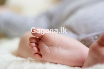 මාස 6යේ බිලිදියට මරු කැඳවූ සර්පයා