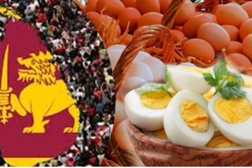 இந்திய முட்டைகள் குறித்து பொது மக்களுக்கு விடுக்கப்பட்டுள்ள அறிவுறுத்தல்!