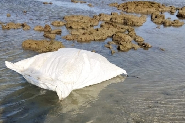 நெடுந்தீவு கடலில் மிதந்து வந்த மர்ம பொதி (Photo) | Bottles Pesticides Floating Island