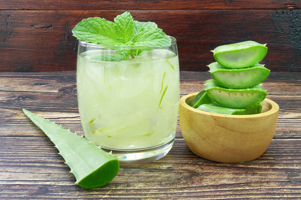 ஆயுர்வேத மருத்துவமாக பயன்படுத்தப்படும் கற்றாழை | Aloe Vera Is Used In Ayurvedic Medicine