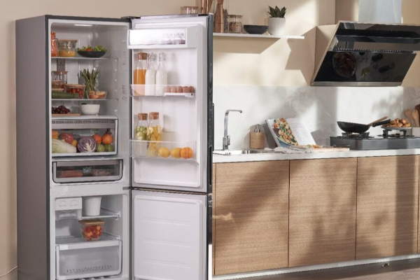 குளிர்சாதனப் பெட்டி பயன்படுத்தும் மக்களுக்கு எச்சரிக்கை | Warning For Using Refrigerators Over 10 Years