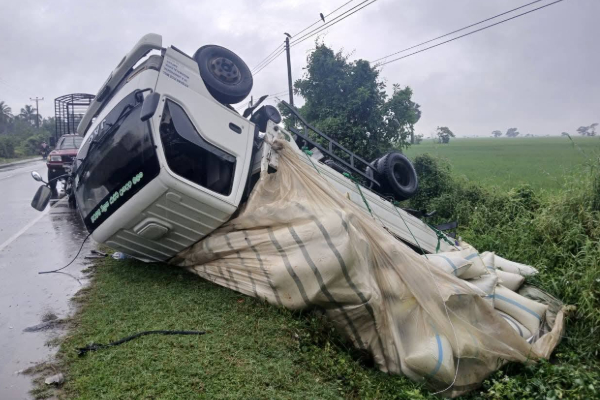 தமிழர் பகுதியொன்றில் நெல் மூட்டைகளுடன் கவிழ்ந்த வாகனம் ; தப்பிய உயிர் | Vehicle Carrying Paddy Sacks Overturns