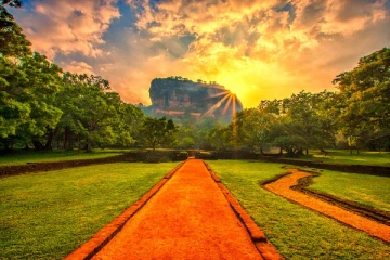 அதிக வருமானத்தை ஈட்டும் சுற்றுலாத்தலமாக மாறியுள்ள சிகிரியா!