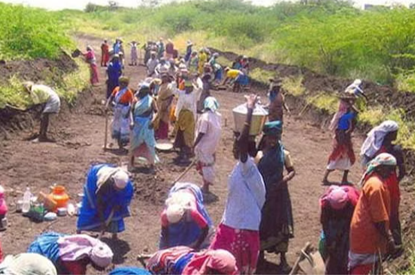 Salary hike for 100 day work plan Salary hike for 100 day work plan