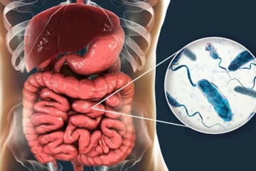 குடற்புழுக்களால் தொந்தரவு? Albendazole மாத்திரைகள் பற்றி தெரிந்து கொள்ளுங்கள்