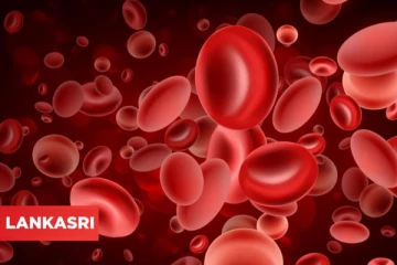 உடலில் உள்ள அசுத்த ரத்தத்தை சுத்தம் செய்யும் இதோ சில குறிப்புகள் !!