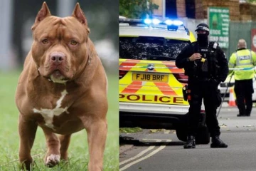 பிரித்தானியாவில் பொதுமக்களுக்கு ஆபத்தை ஏற்படுத்திய நாய்: துப்பாக்கியால் சுட்டுக் கொன்று அதிகாரிகள்