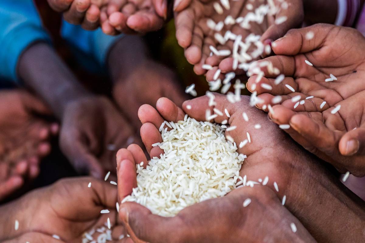 உணவுப் பாதுகாப்பு நெருக்கடியை சமாளிக்க உலக நாடுகள் ஒன்றிணைய அழைப்பு | Call World Nations Tackle Food Security Crisis