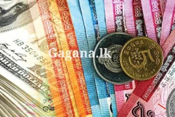 ශ්‍රී ලංකා මහ බැංකුව නිකුත් කළ විනිමය අනුපාතිකයට අනුව අද ඩොලරයට ලැබුන වටිනාකම. (PHOTO)