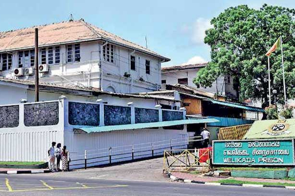 சமூக செயற்பாட்டாளர்கள் மீது சிஐடி விசாரணை: சிறீதரன் எம்பி கண்டனம் | Itd Investigate Activists Sritharan Mp Condom